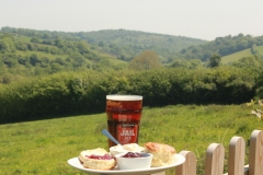 Cream-Tea-and-Beer