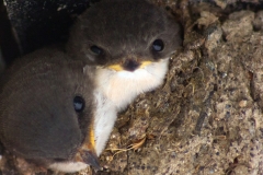 Housemartins-outside-pub